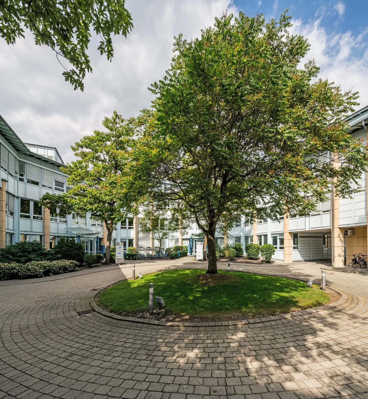 Innenhof mit großer Esche, kreisförmiger Pflasterung und Glaseingängen